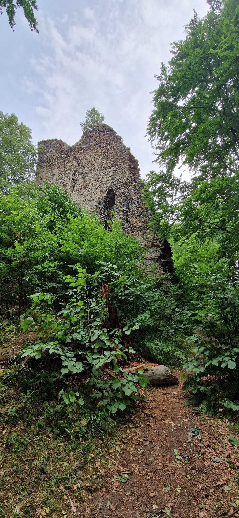 Description of image